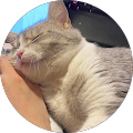 Qiuting Z. profile picture
